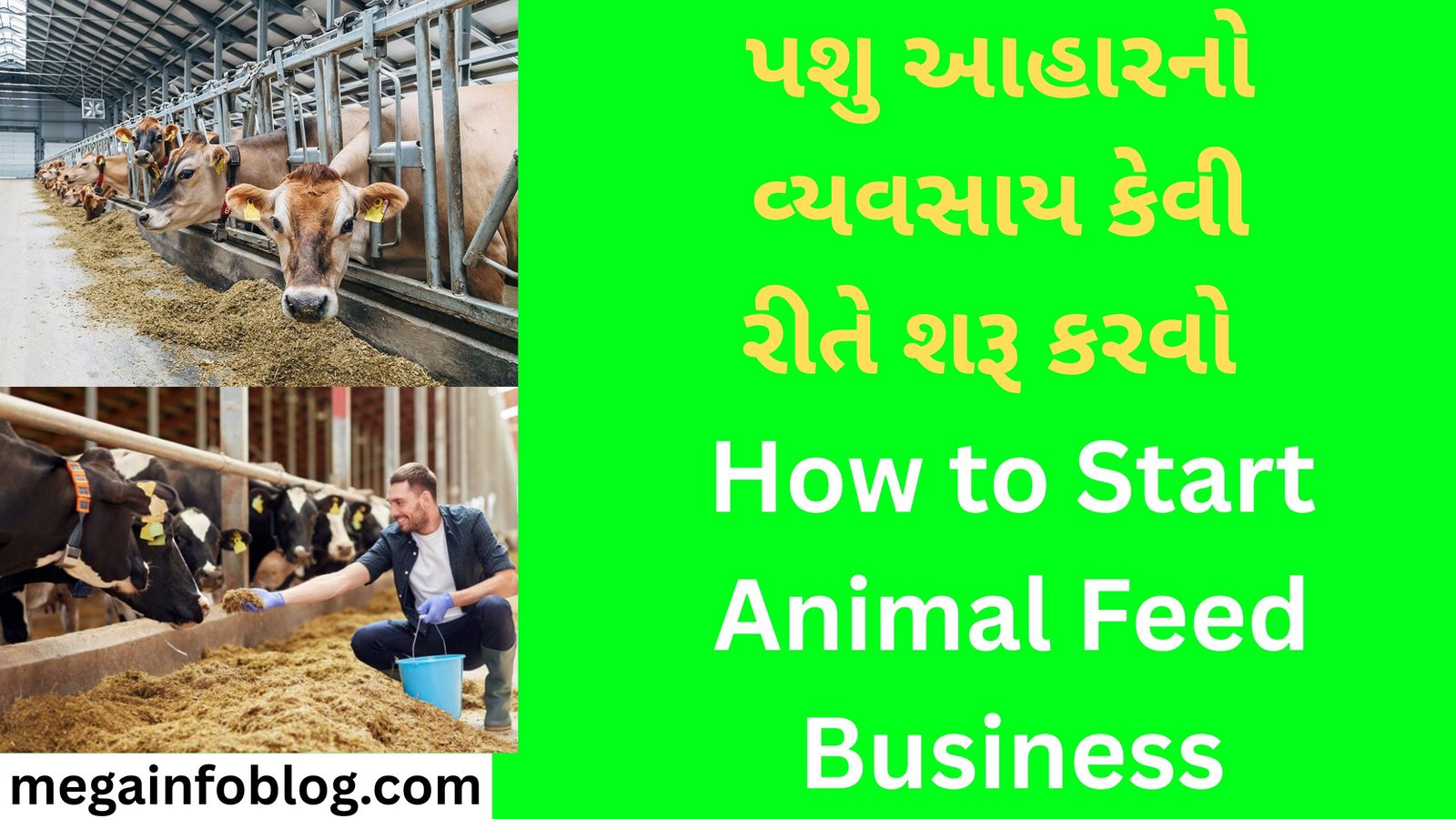 How to Start Animal Feed Business