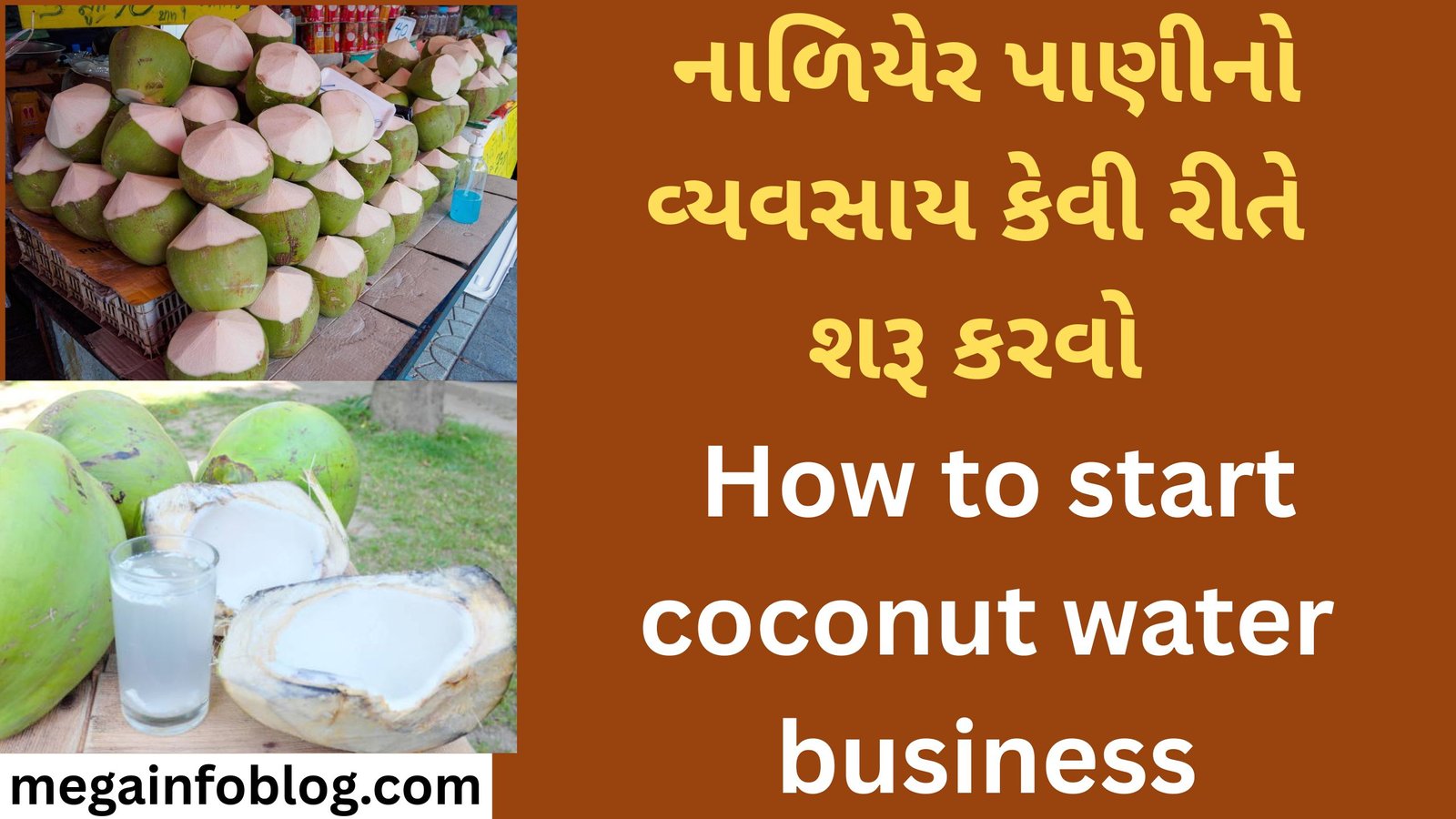 How to start coconut water business